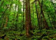 爱游戏中国-从里昂爆冷马赛到京多安欧冠封神，足球世界唯一性的双重奏鸣