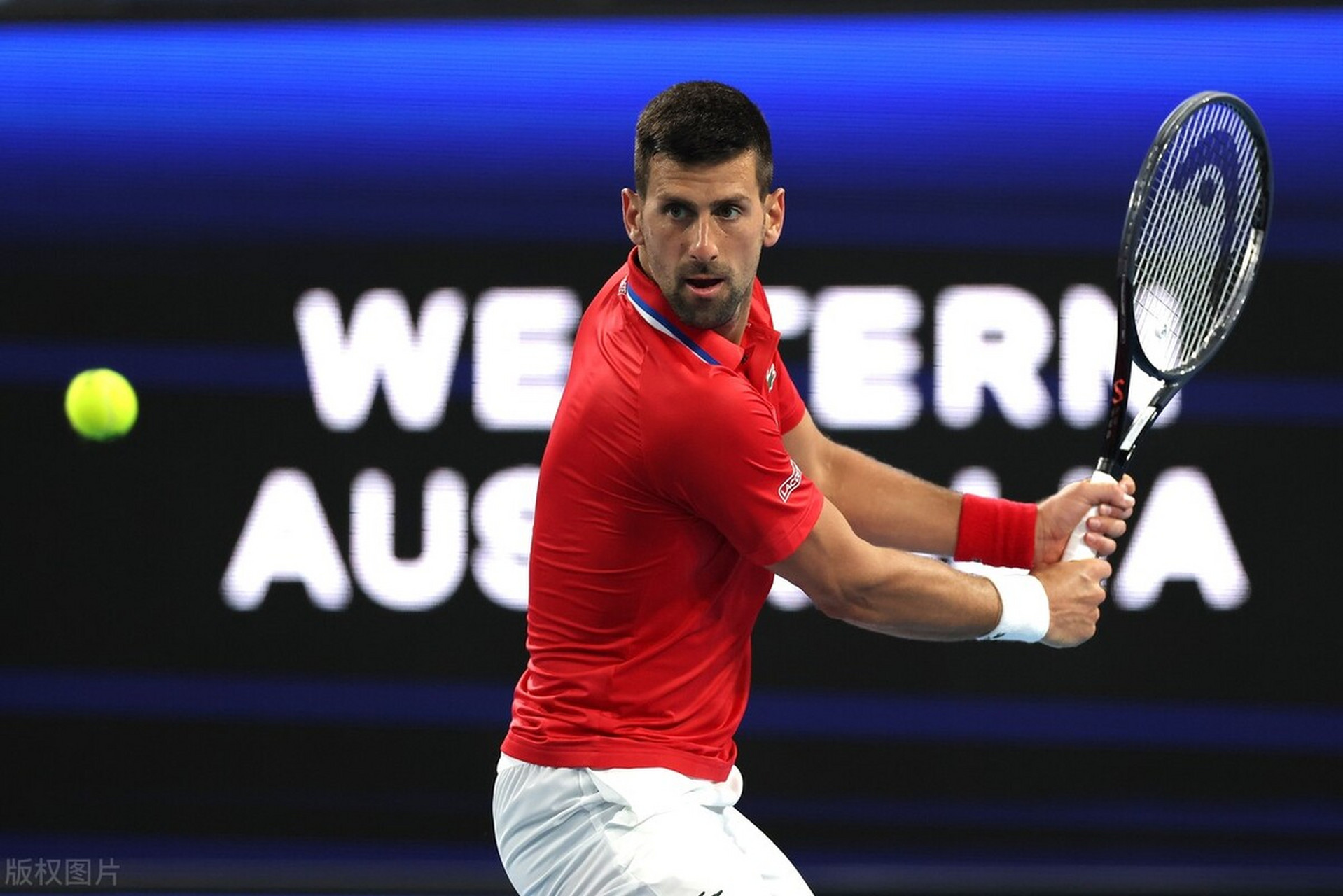 年终总决赛险胜戴维斯杯，德约科维奇关键制胜