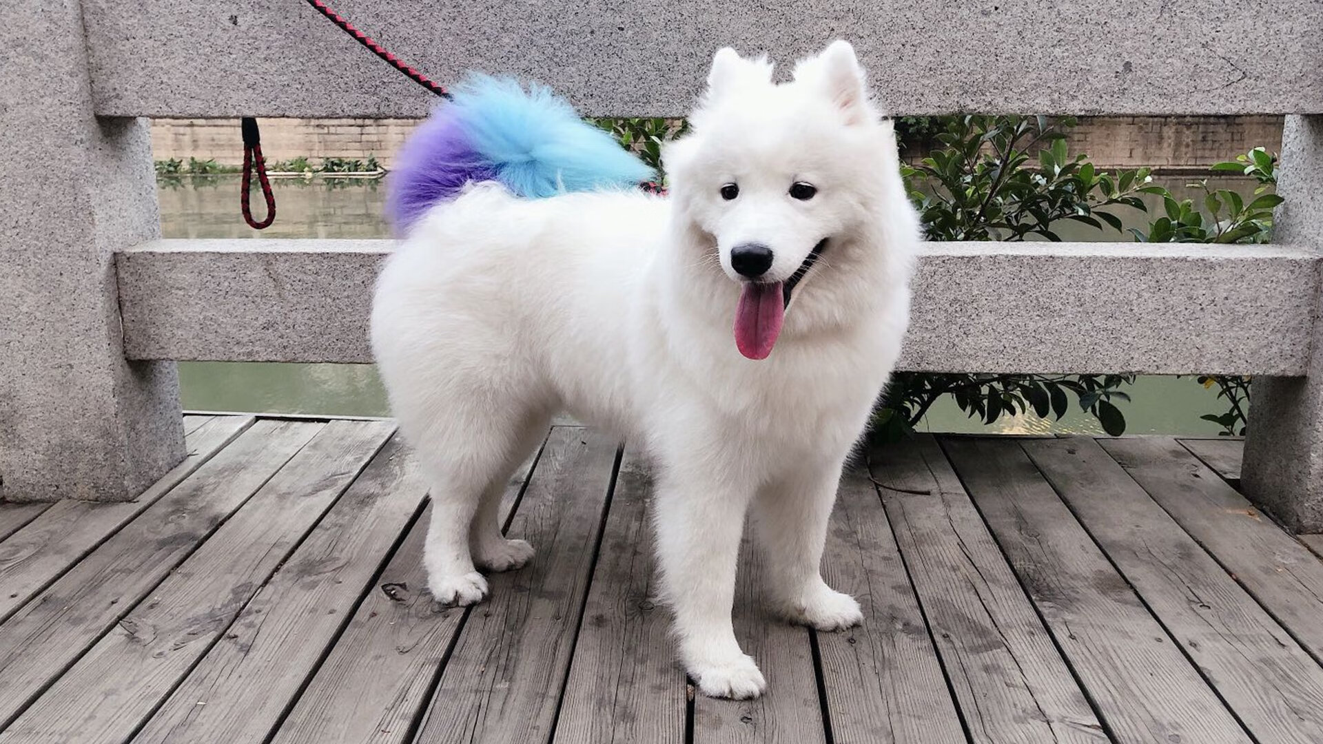 从里昂爆冷马赛到京多安欧冠封神，足球世界唯一性的双重奏鸣