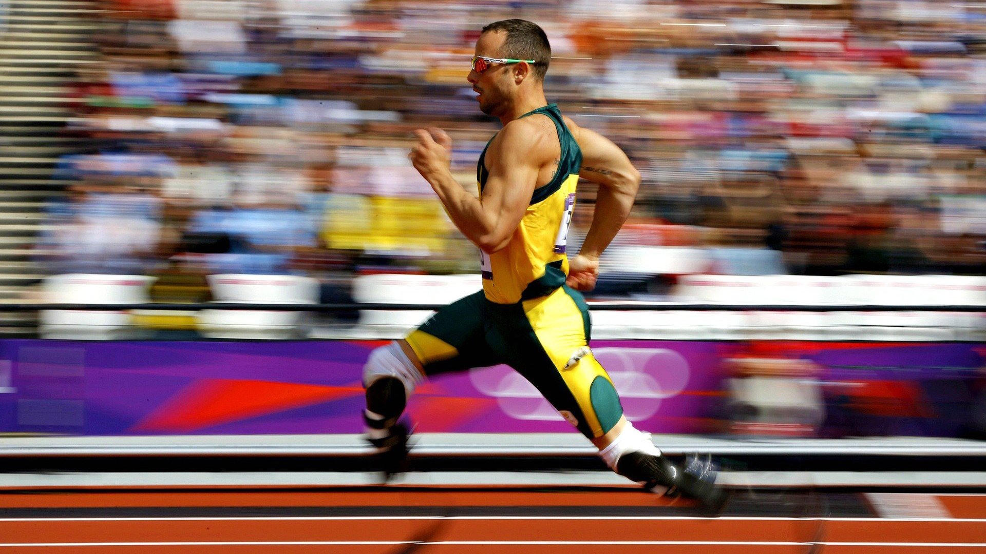 年度焦点之战之夜，布鲁诺完成里程碑，书写传奇新篇章